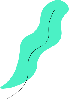 h2-slider-1-layer-4 s