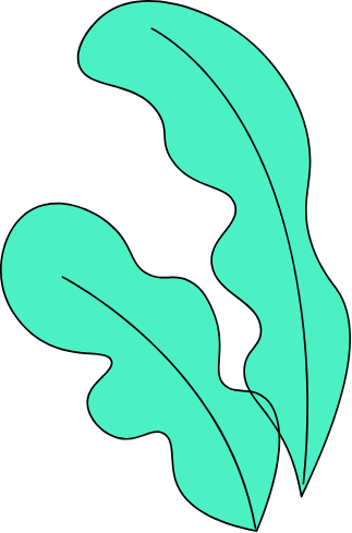 land-slider-2-layer-7 s